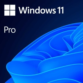 Licena Windows 11 Pro FPP Carto  FQC-10572