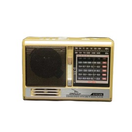 Rdio Porttil AM/FM-USB/MicroSD/ Painel Solar/ 10W D-FS1608 